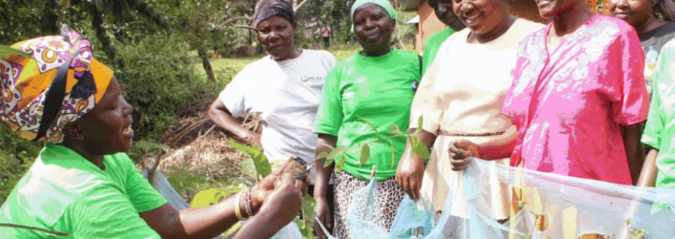 Women benefiting from project they're leading in the Kakamega rainforest