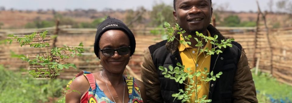 Planting forest gardens in Tanzania