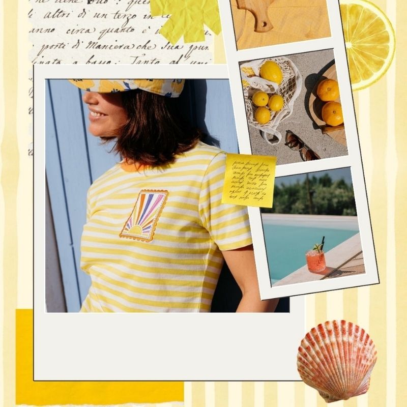 an inspo baord for a tshirt