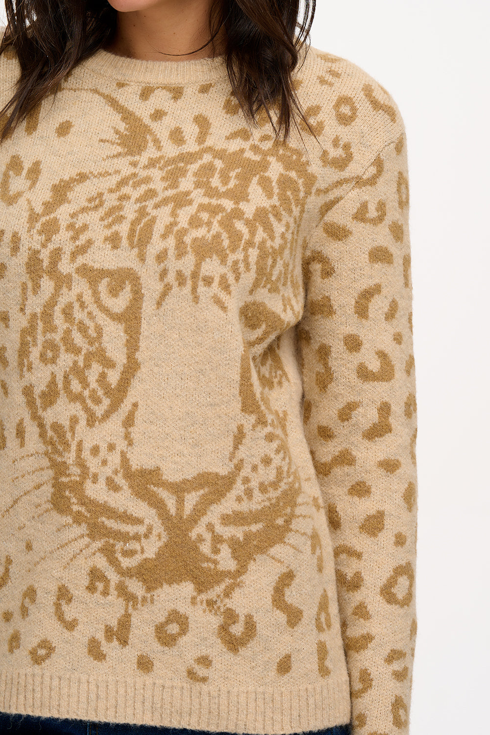 model wearing jumper with large leopard face on it 