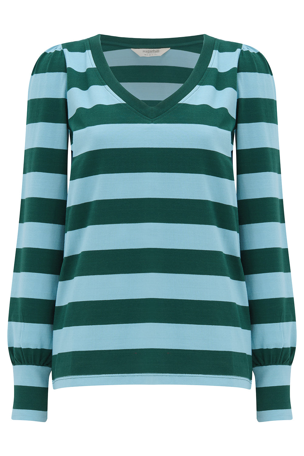A long-sleeve V-neck knit sweater with horizontal stripes in dark forest green and light blue, shown against a plain white background.